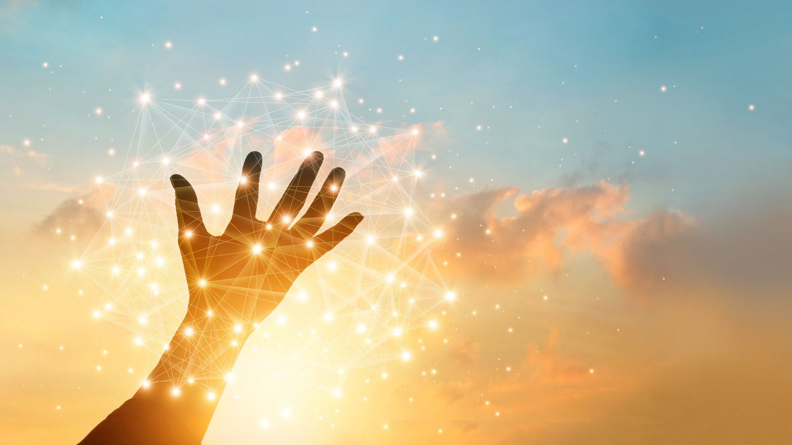 Quantec Pro Anwendungen